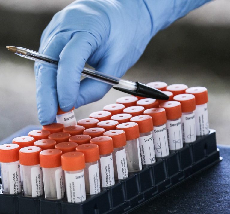 Coronavirus, In Sardegna 551 nuovi casi e 5 decessi