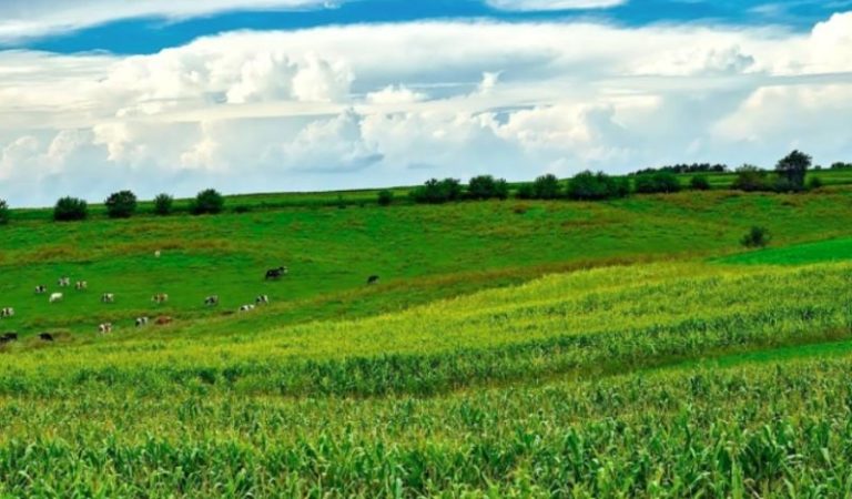 Psr, in Sardegna superato l’obiettivo di spesa per il 2020