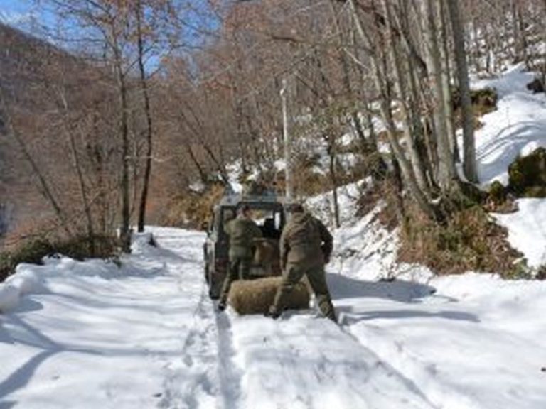 Corecoco. tutti promossi i bilanci degli enti, tranne uno