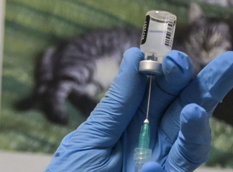 In Friuli già prenotati oltre 10 mila vaccini anti-Covid