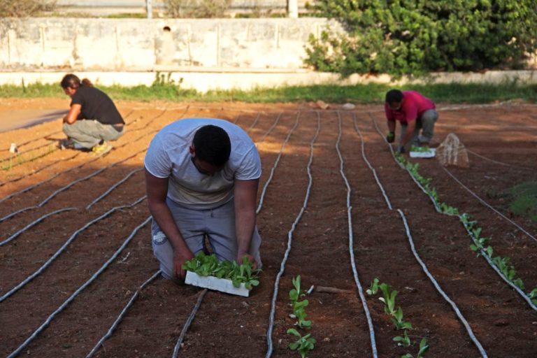 Agricola Mpidusa, orti sostenibili per il rilancio dell’isola