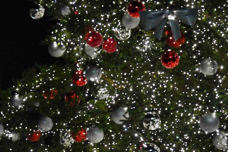 Buon Natale dall’agenzia Italpress
