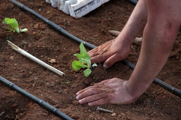 I territori che ripartono da sviluppo sociale e inclusione