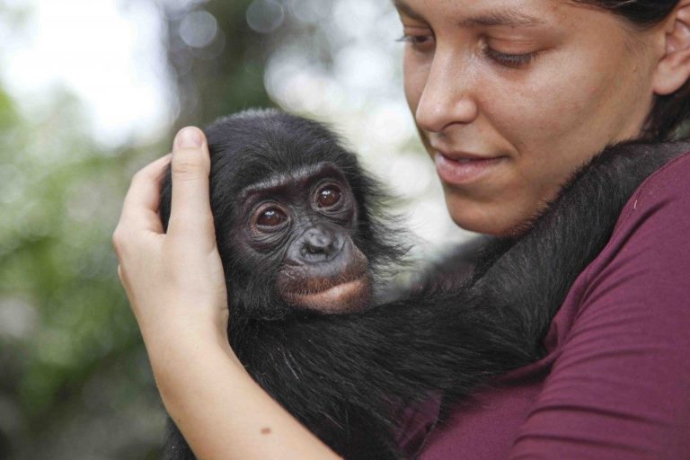 Alessandra Prampolini nuovo direttore generale del Wwf Italia