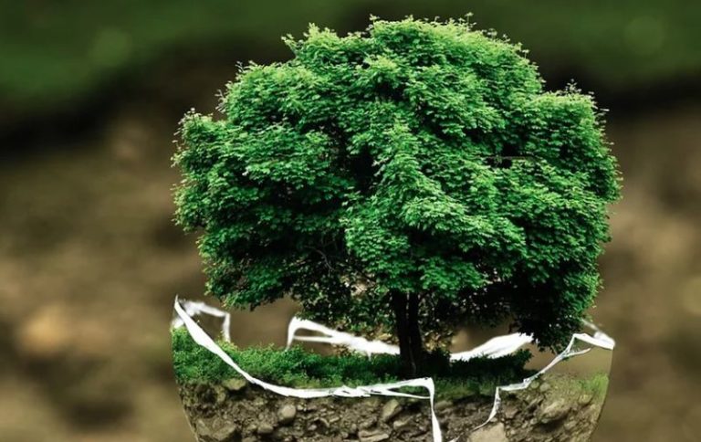 Approvato il procedimento unico ambientale in Sardegna