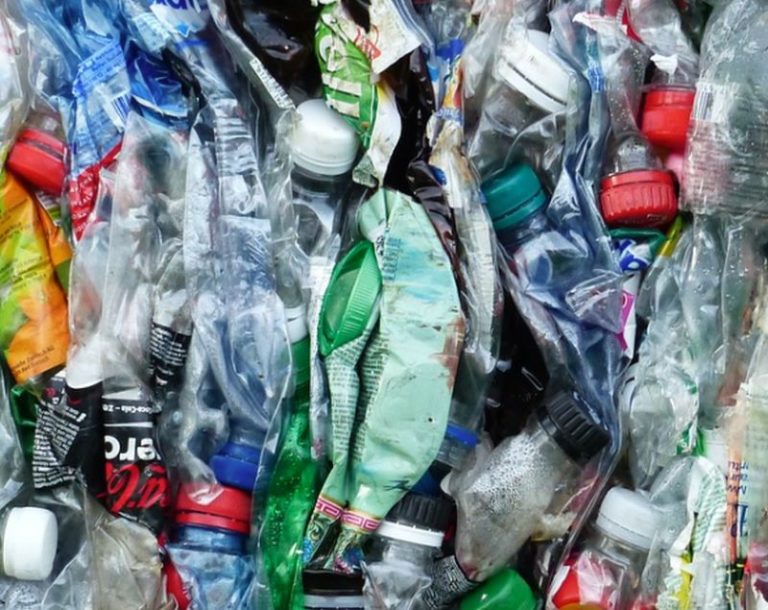 Cabina di regia sviluppa strategia per ridurre la plastica in Emilia