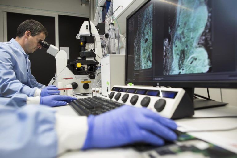 Fondazione Roche premia progetti per la qualità della vita dei pazienti