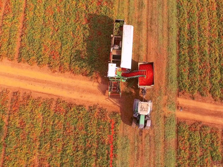 Agricoltura, Zannier “Fondo garanzia sosterrà oneri rate sospese in Friuli”
