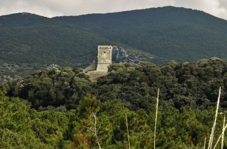 Parco Maremma, via libera a bilancio esercizio 2019