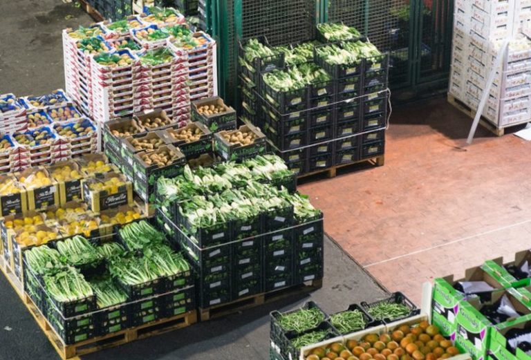 L’agroalimentare si conferma strategico per l’economia, bene l’export