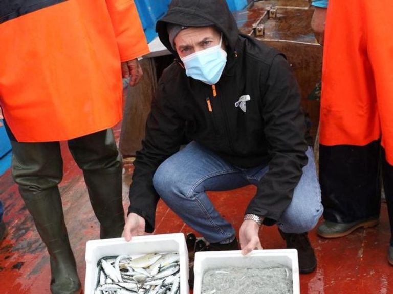 Pesca della sardella, via in Calabria a campagna sperimentale