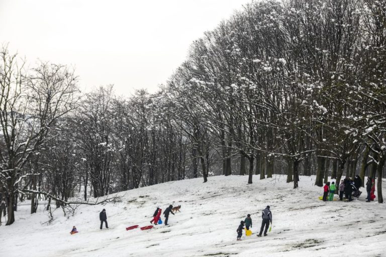 Sci, in Toscana richiesta cambio di criteri distribuzione finanziamenti