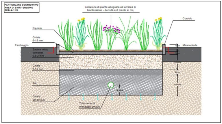 Gruppo Cap al Festival “The Nature of Cities”
