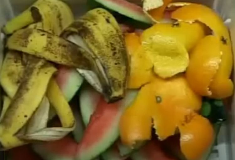 Enea brevetta compostiera domestica per gestire rifiuti organici