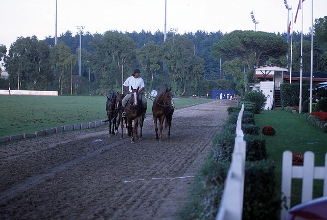 Sardegna, al via i pagamenti degli aiuti al comparto ippico