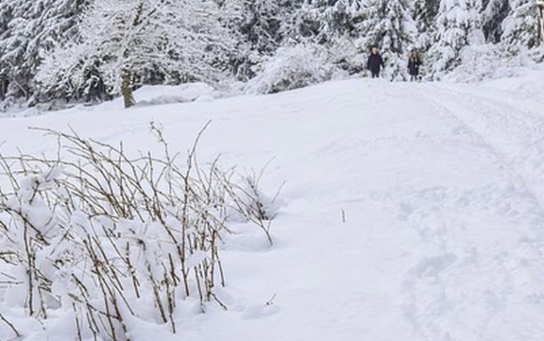 Pronti i bandi per ristori a maestri sci e pro loco in Toscana