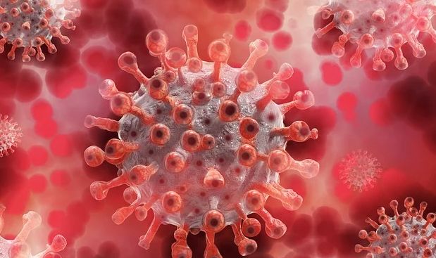 Coronavirus, 6 decessi e 1.155 positivi in Piemonte