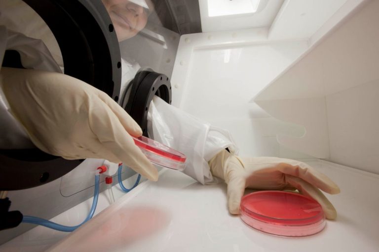 ViiV Healthcare, nuovi dati su prevenzione e trattamento dell’HIV