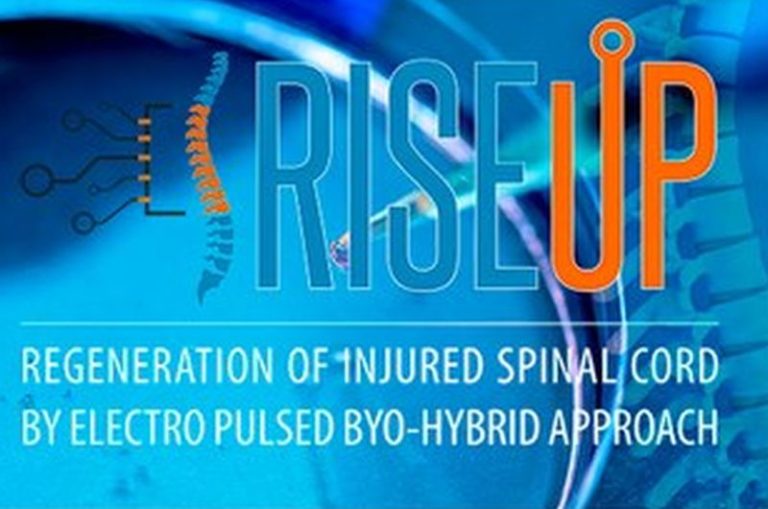 Nuovo metodo per rigenerare le lesioni del midollo spinale