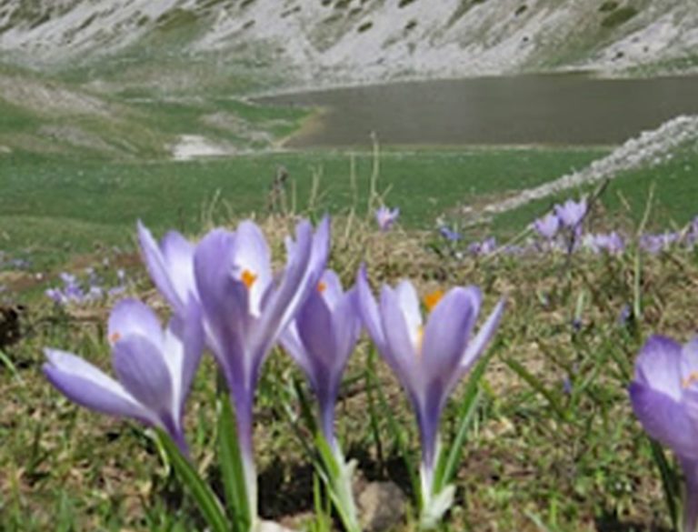 Illustrato in commissione Ambiente piano riserva naturale Duchessa