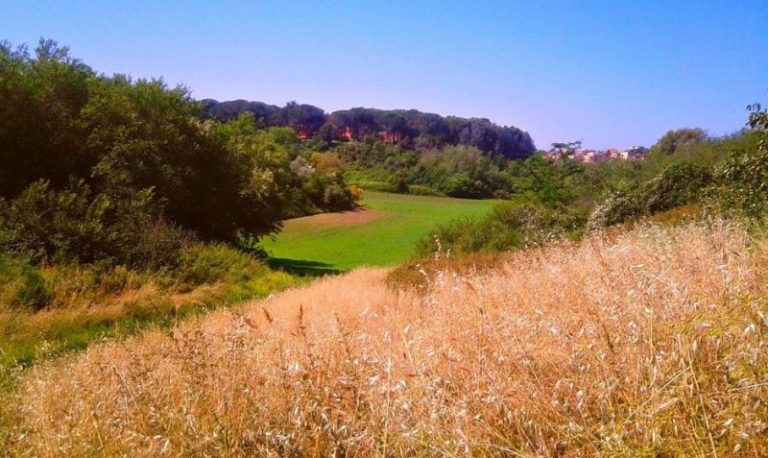 Tenuta di Acquafredda, approvato il piano della riserva