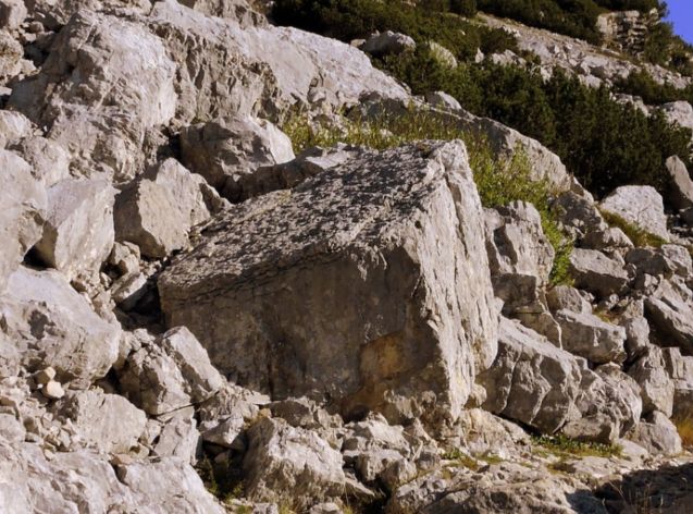 Rischi naturali in Calabria, Savaglio “Scienza supporto per istituzioni»