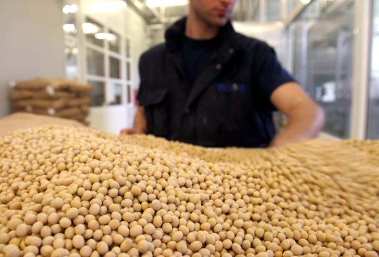 Anga e Confagricoltura, pianificazione e policy per mercato della soia