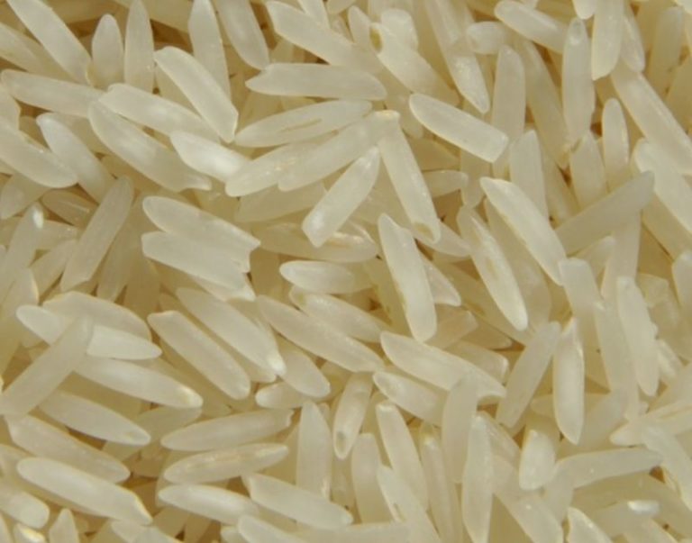 Riso, via libera a export in Cina