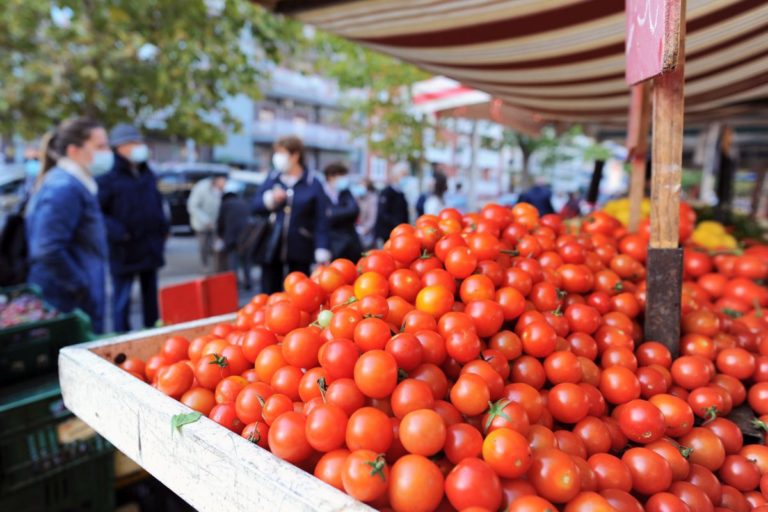 Arriva la task force degli stagionali “Salva raccolti”