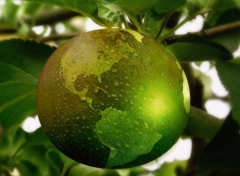 Intesa Sanpaolo, donazioni per imprese sociali e sostenibili