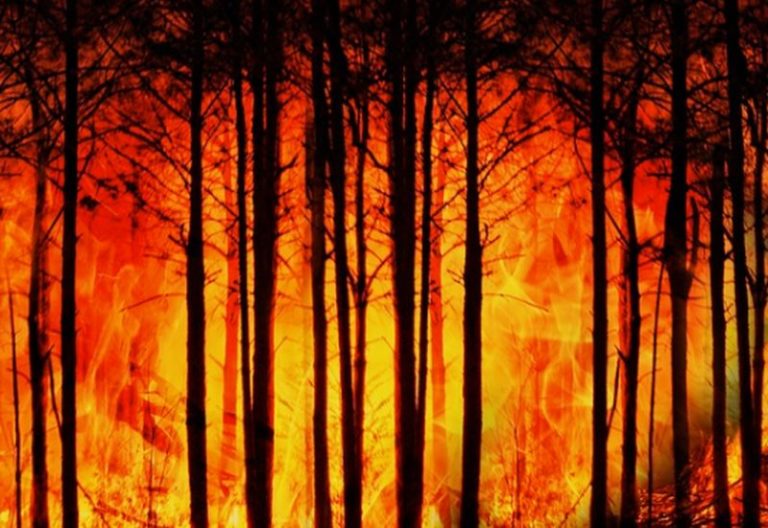 Solinas “Contratto per 11 elicotteri in Sardegna contro incendi”