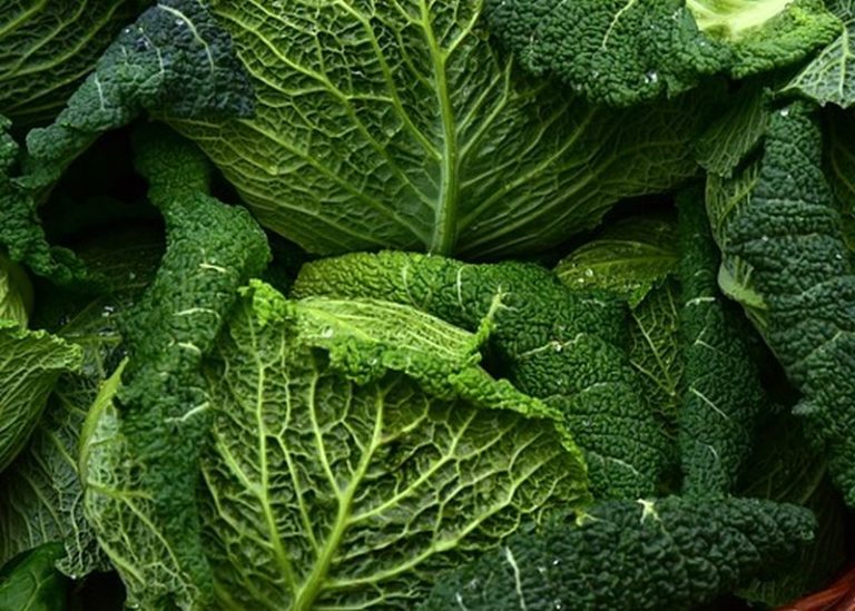 Stop pratiche sleali ferma speculazioni cibo