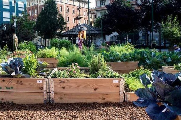 Per 44% italiani frutta e verdura coltivata in giardini e orti urbani