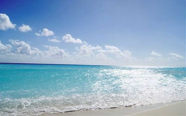 Marevivo “Finalmente il mare entra nel Pnrr”