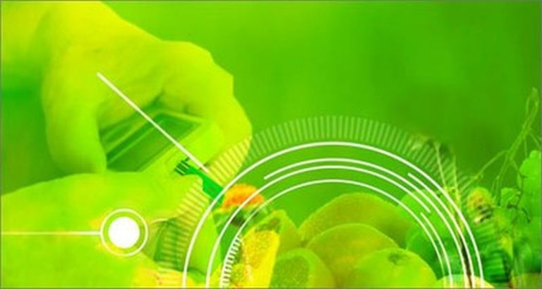 Diabete, sensori low cost per misurare il glucosio nel sangue