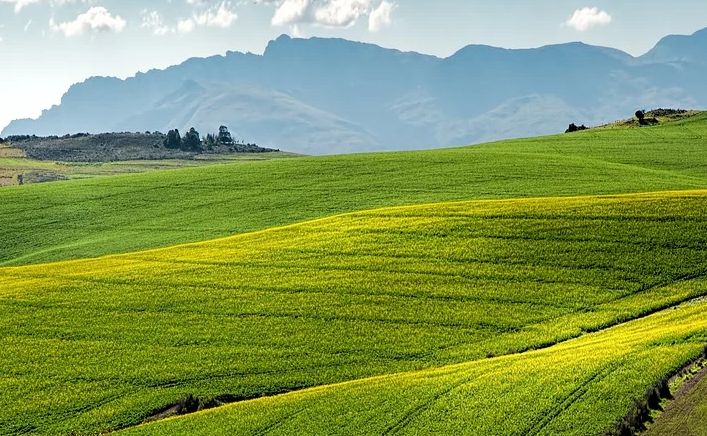 Slow Food presenta programma con Fao su patrimonio agricolo mondiale