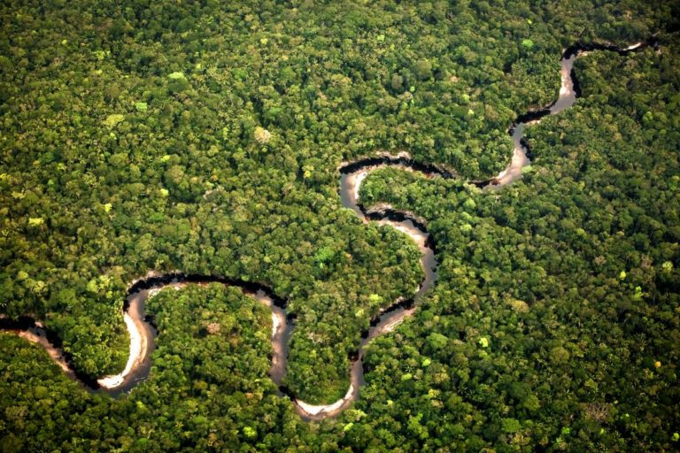 Il Wwf compie 60 anni e lancia l’allarme “Crolla la biodiversità”