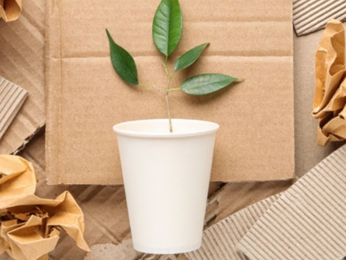 Da filiera carta contributo a obiettivi transizione ecologica