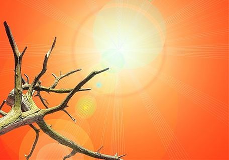 Recovery, Ambientalisti “Non è un piano significativo per il clima”