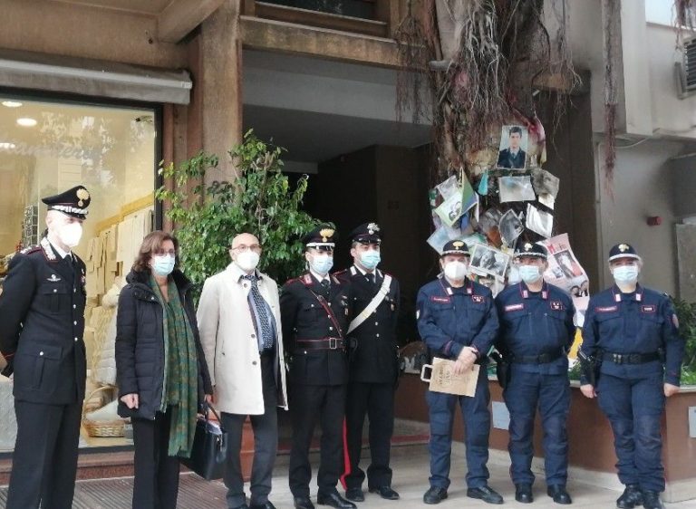 L’Albero Falcone sarà in 500 mila scuole italiane