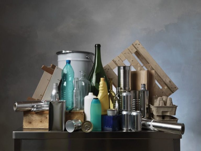 Formazione green all’Università di Palermo, candidature aperte