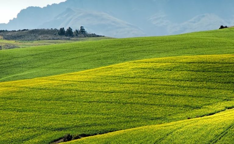 La Regione Piemonte potenzierà l’agricoltura con il Recovery Fund