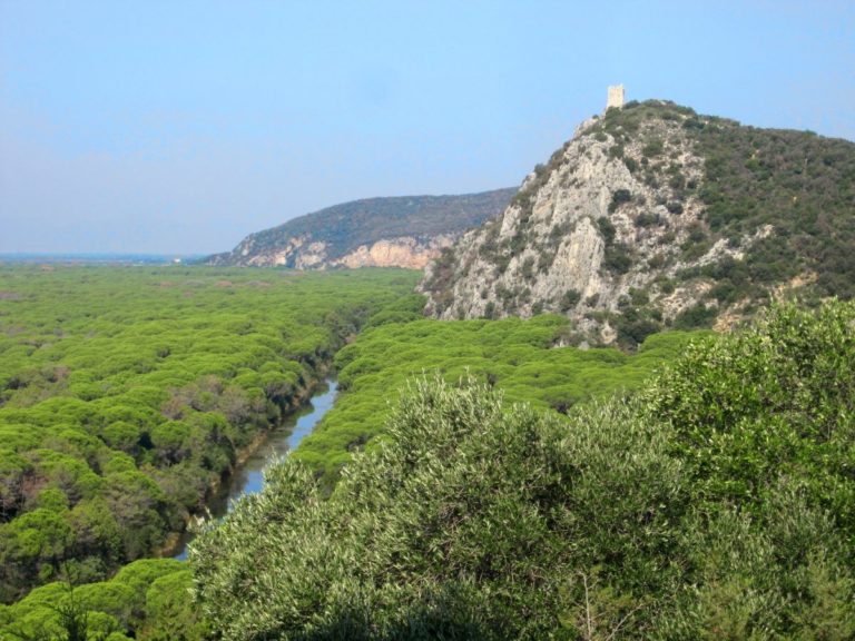 Parco Maremma, parere favorevole al bilancio preventivo