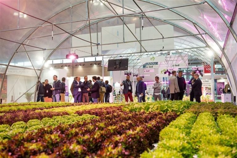 Macfrut, Piraccini “Opportunità per intera filiera ortofrutta”