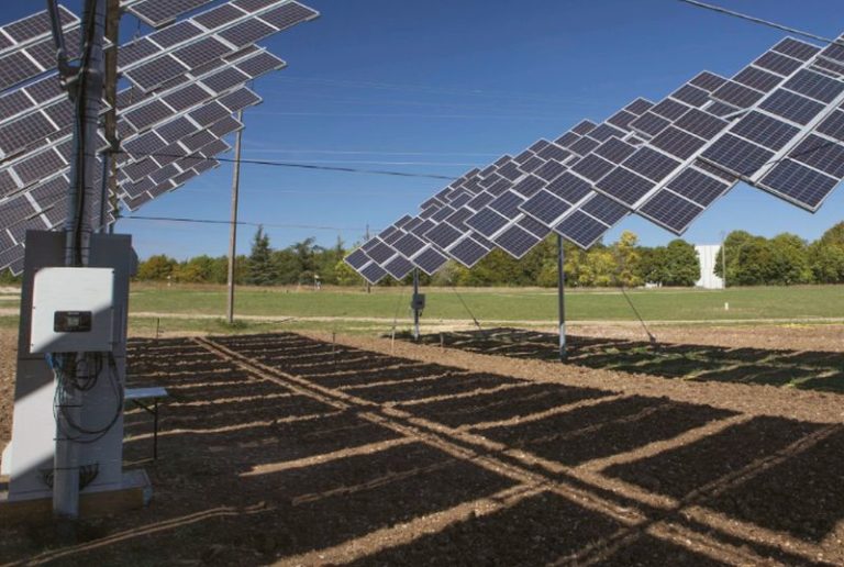 Agrivoltaico sostenibile per produrre energia e coltivare terreni