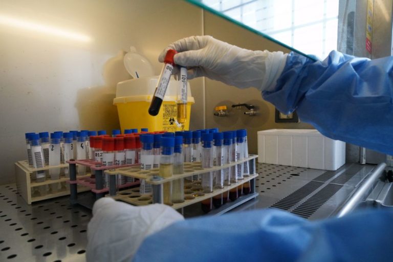 Uno studio, anticorpi contro il Covid per almeno 8 mesi dall’infezione