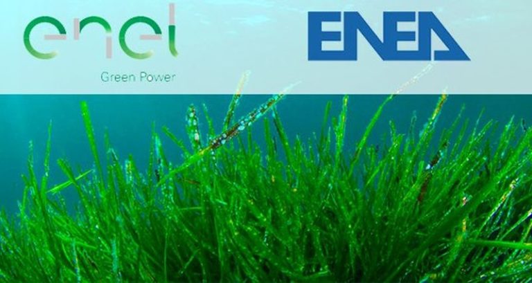 Egp-Enea, accordo per innovativo impianto-pilota agrivoltaico