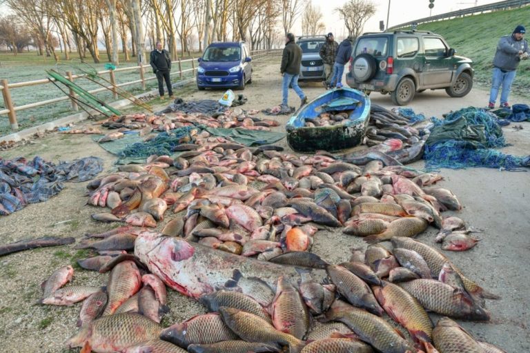 Colpo a bracconaggio ittico, Matteoli “Orgoglioso del lavoro”