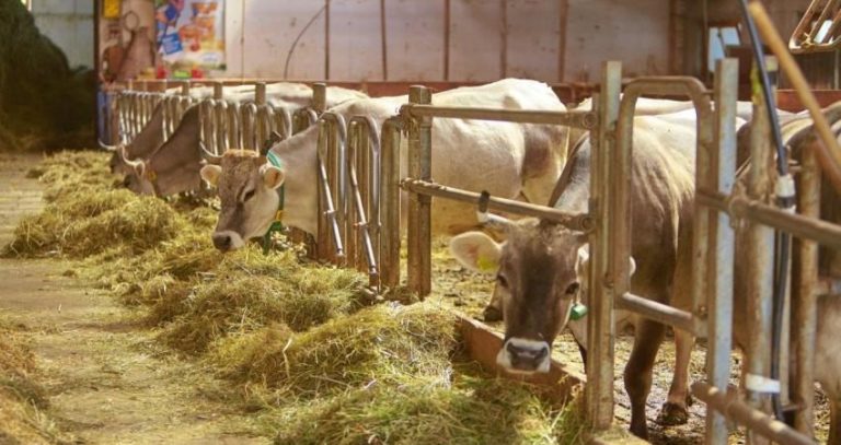 Filiere, accordo Confagricoltura-Coop per maggiore equità