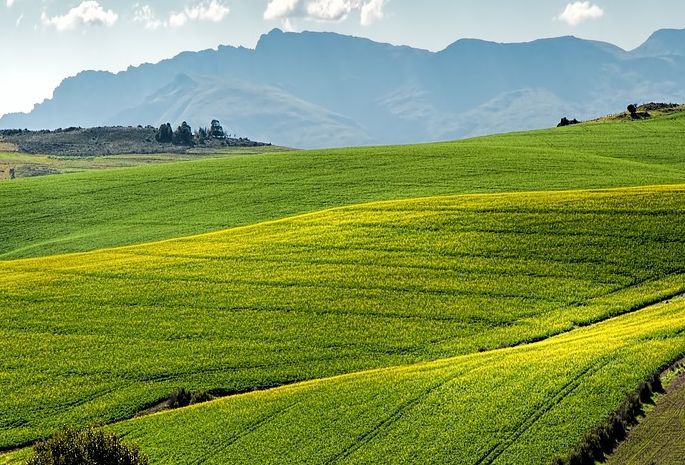 Bertalot (Reale Mutua) “In agricoltura rischi sottovalutati”